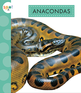 Cover Art for Anacondas