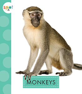 Cover Art for Monkeys