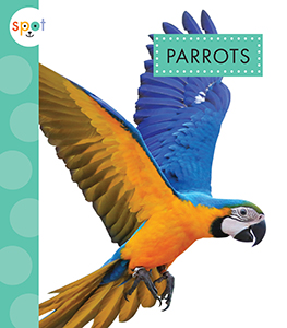 Cover Art for Parrots
