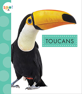 Cover Art for Toucans