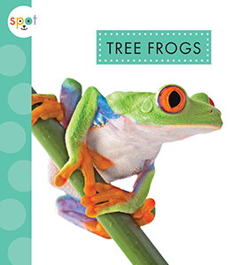 Cover Art for Tree Frogs