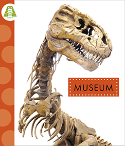 Cover Art for Museum