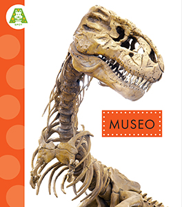 Cover Art for Museo