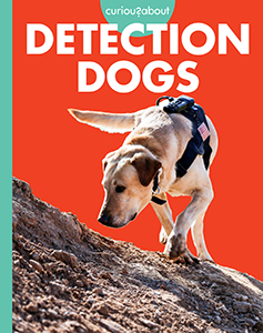 Cover Art for Curious about Detection Dogs