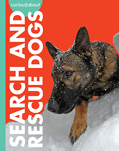 Cover Art for Curious about Search and Rescue Dogs