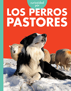 Cover Art for Curiosidad por los perros pastores
