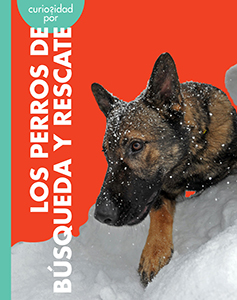 Cover Art for Curiosidad por los perros de búsqueda y rescate