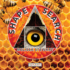 Cover Art for Shape Search