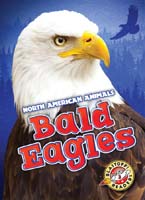Cover Art for Bald Eagles