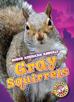 Cover Art for Gray Squirrels