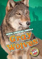 Cover Art for Gray Wolves