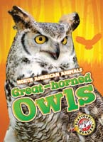 Cover Art for Great-horned Owls