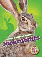 Cover Art for Jackrabbits