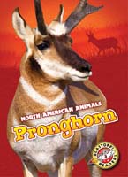 Cover Art for Pronghorn