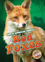 Cover Art for Red Foxes