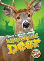 Cover Art for White-tailed Deer