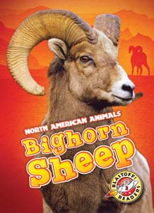 Cover Art for Bighorn Sheep