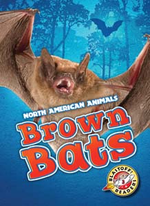 Cover Art for Brown Bats
