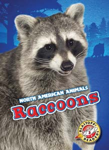 Cover Art for Raccoons