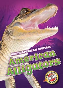 Cover Art for American Alligators