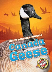 Cover Art for Canada Geese