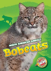 Cover Art for Bobcats