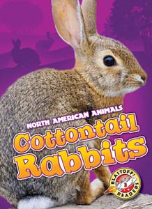 Cover Art for Cottontail Rabbits