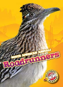 Cover Art for Roadrunners