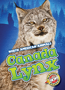 Cover Art for Canada Lynx