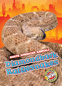 Cover Art for Diamondback Rattlesnakes