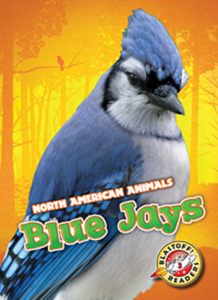 Cover Art for Blue Jays
