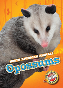 Cover Art for Opossums