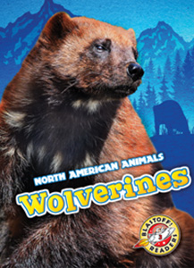 Cover Art for Wolverines