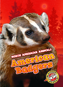 Cover Art for American Badgers