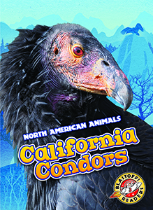 Cover Art for California Condors
