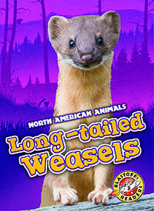 Cover Art for Long-tailed Weasels