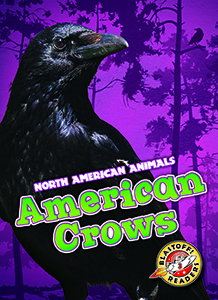 Cover Art for American Crows