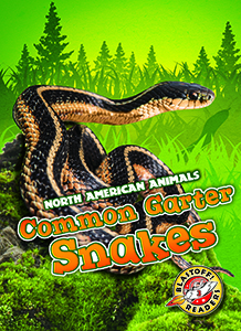 Cover Art for Common Garter Snakes