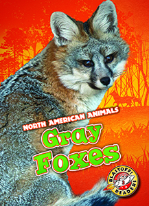 Cover Art for Gray Foxes