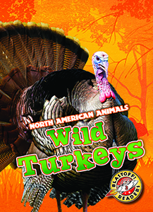 Cover Art for Wild Turkeys