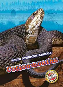 Cover Art for Cottonmouths