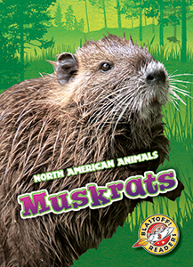 Cover Art for Muskrats