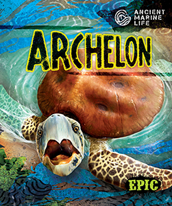 Cover Art for Archelon