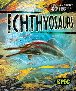Cover Art for Ichthyosaurs