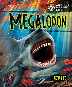 Cover Art for Megalodon