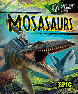 Cover Art for Mosasaurs