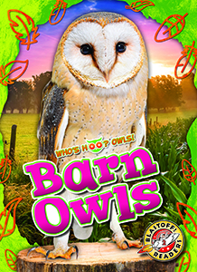 Cover Art for Barn Owls