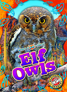 Cover Art for Elf Owls