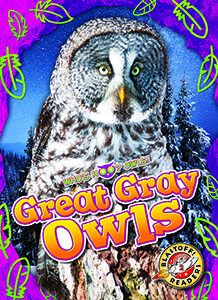 Cover Art for Great Gray Owls
