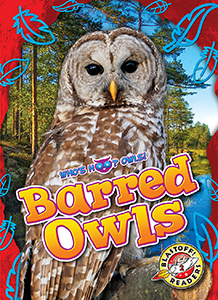 Cover Art for Barred Owls